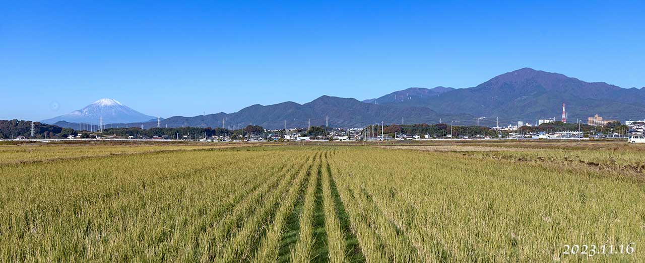 熊澤米店