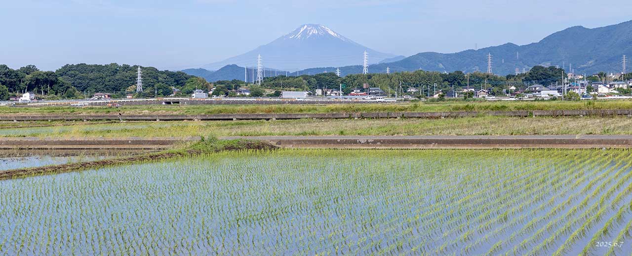 熊澤米店
