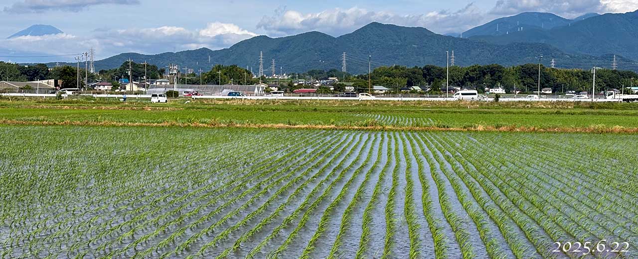 熊沢米店