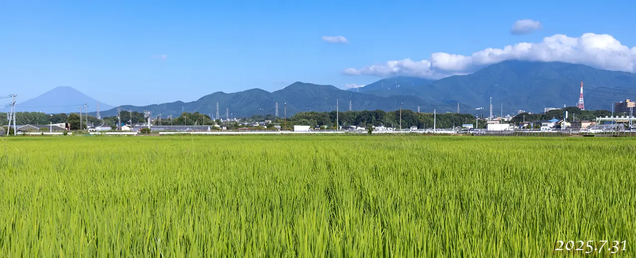 熊沢米店