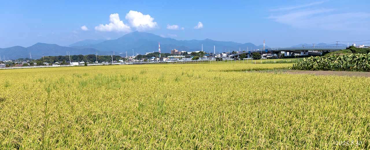 熊沢米店