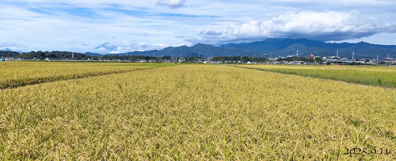 熊沢米店