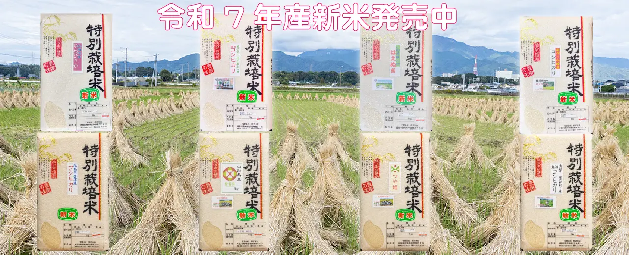 熊沢米店